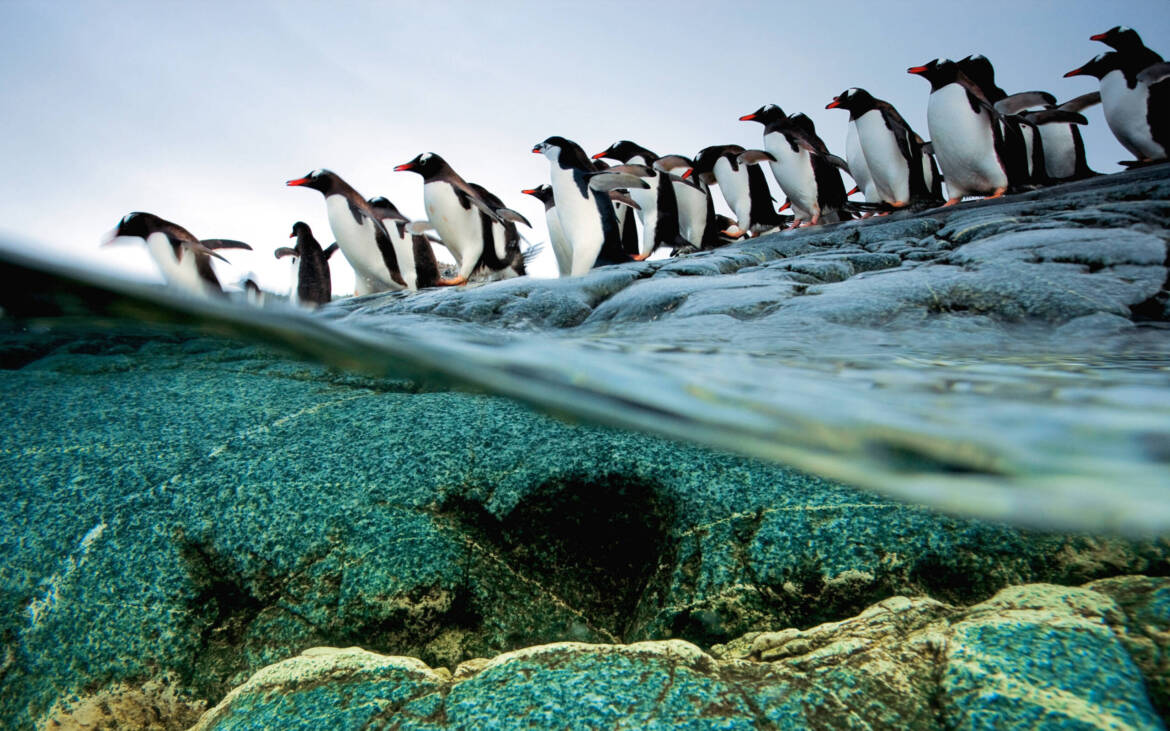 NatGeo01-scaled.jpg
