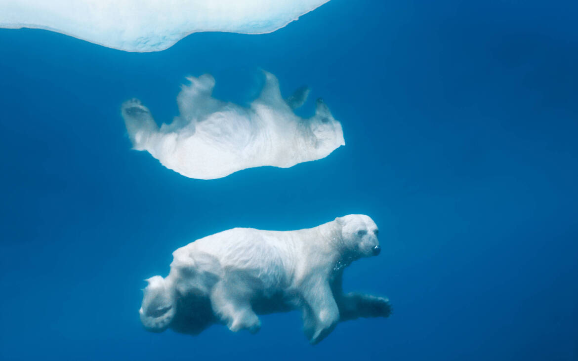 NatGeo02-scaled.jpg
