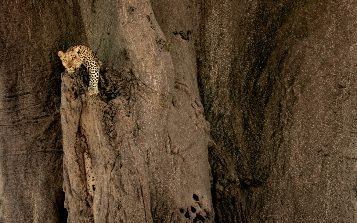 NatGeo09-scaled.jpg