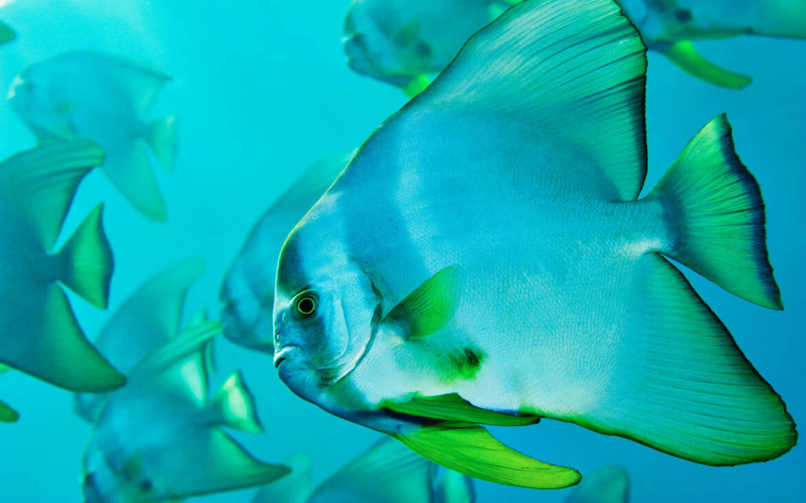 NatGeo13-scaled.jpg
