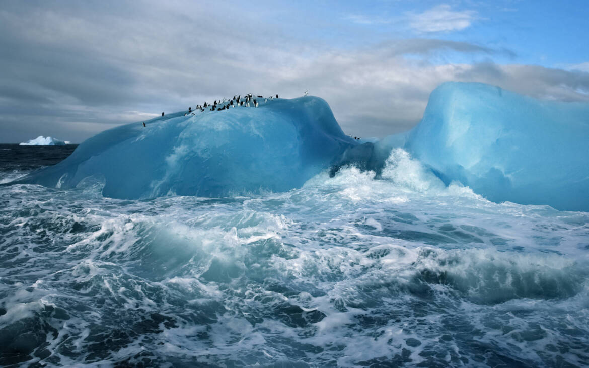 NatGeo16-scaled.jpg